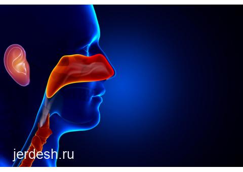 ТЕРАПЕВТ, хирург,ЛОР, ПЕДИАТР,невролог ,офтальмолог,уролог, АЛЛЕРГОЛОГ,дерматолог, СТОМАТОЛОГИЯ!: фото 1