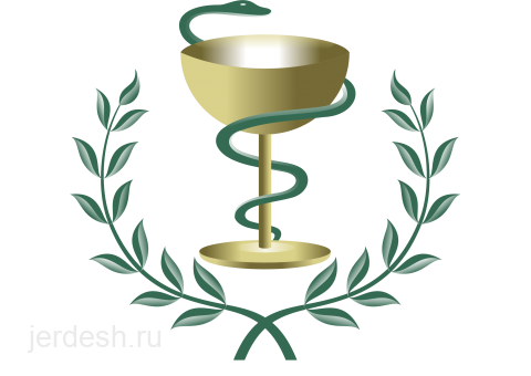 ГИНЕКОЛОГ/ХИРУРГ/ДЕРМАТОЛОГ/АЛЛЕРГОЛОГ/УРОЛОГ/ТРАВМАТОЛОГ/УЗИ/СТОМАТОЛОГ/СПРАВКА НА РАБОТУ/: фото 1