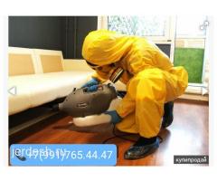 ДЕЗИНФЕКЦИЯ КЛОП ТАРАКАН ДААРЫЛОО 24/7 ЧАЛЫНЫЗ.БЕЗ ЗАПАХ ДААРЫЛАЙБЫЗ.: фото 2