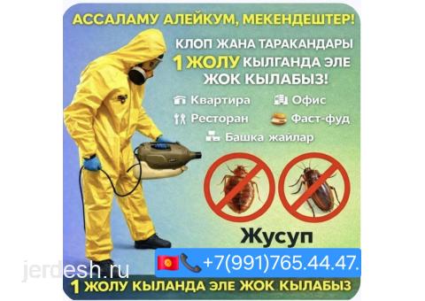 ДЕЗИНФЕКЦИЯ КЛОП ТАРАКАН ДААРЫЛОО 24/7 ЧАЛЫНЫЗ.БЕЗ ЗАПАХ ДААРЫЛАЙБЫЗ.: фото 1
