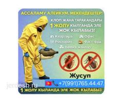 ДЕЗИНФЕКЦИЯ КЛОП ТАРАКАН ДААРЫЛОО 24/7 ЧАЛЫНЫЗ.БЕЗ ЗАПАХ ДААРЫЛАЙБЫЗ.: фото 2