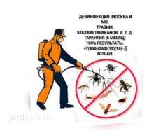 Урматту Мекендештер ( КЛОП ТАРАКАН ) Дарылайбыз 100% Гарантия (6АЙ): фото 2