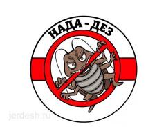 Урматту Мекендештер ( КЛОП ТАРАКАН ) Дарылайбыз 100% Гарантия (6АЙ): фото 3