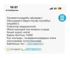 Кулак козойбуз .Айымдар+797750011011: фото 2