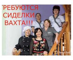 Сиделка в пансионат.: фото 2