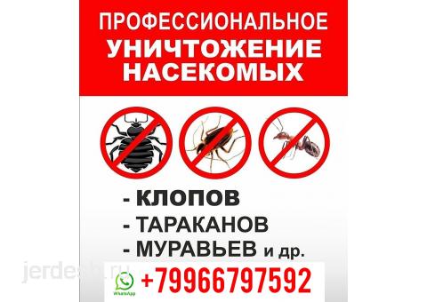 КЛОП ТАРАКАН ЖОК КЫЛАБЫЗ +79966797592: фото 1