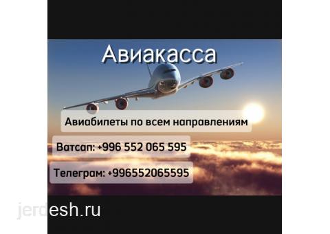 Авиакасса Продаю авиабилеты: фото 1