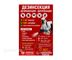 КЛОП ТАРАКАН ЖОК КЫАЛАЫЗ МЕКЕНДЕШТЕР: фото 4