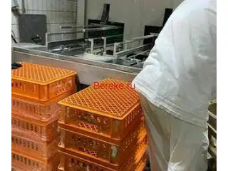 Мойщик тары, разнорабочий магазинге