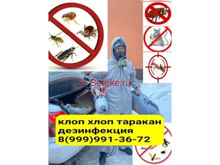 КЛОП ХЛОП ТАРАКАН ЖОК КЫЛАБЫЗ ГАРАНТИЯ ДОГОВОР СЕРТИФИКАТ БАР