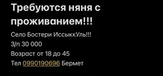 Требуется Няня