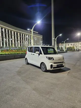 Kia Ray: 2021 г., 0.1 л, Автомат, Бензин, Минивэн