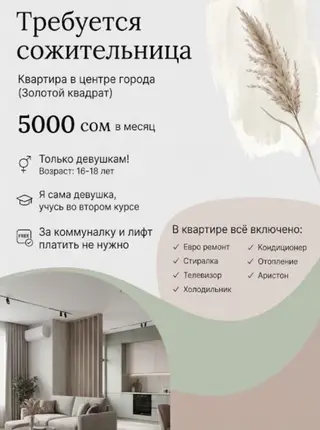 Стоимость: 5000 сом в месяц. За коммуналку и лифт платить не нужно.