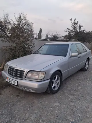 Mercedes-Benz S-Class: 1992 г., 5 л, Автомат, Бензин