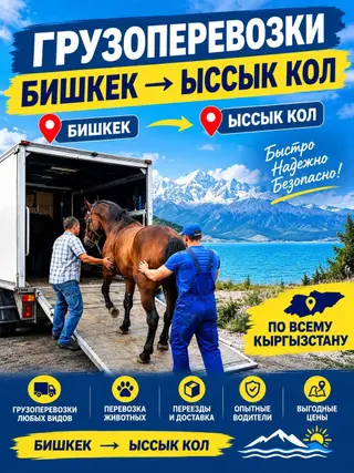 Грузоперевозки Бишкек — Ыссык-Көл и по Кыргызстану