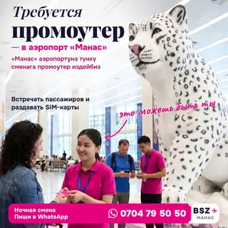 Требуется промоутер в аэропорт «Манас» на ночь, с 03:00 до 07:00