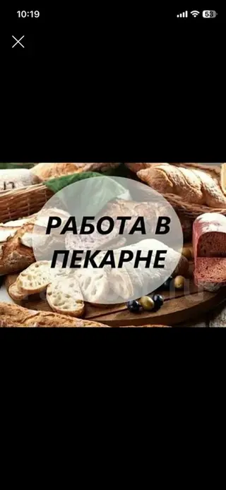 Требуется Пекарь, Оплата: Дважды в месяц, Без опыта