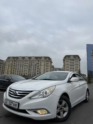 Hyundai Sonata: 2014 г., 2 л, Автомат, Газ, Седан