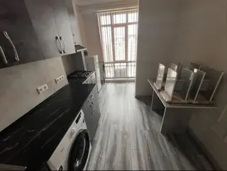 1 комната, 29 м², Асанбай мкр Элитка, 11 этаж, Евроремонт