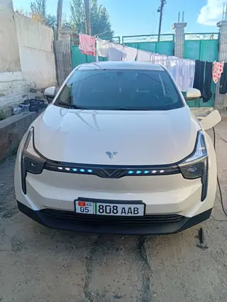 BYD : 2022 г., Электромобиль, Кроссовер
