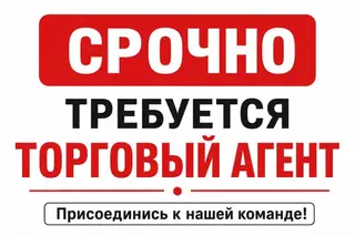 Требуется торговый агент в Бишкеке