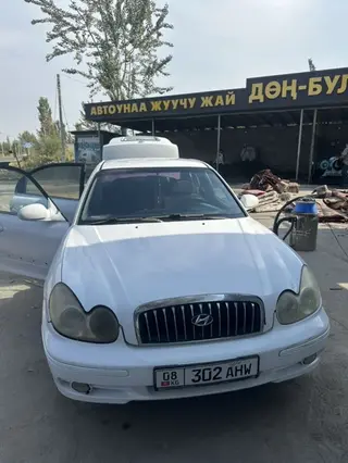 Hyundai Sonata: 2001 г., 0.2 л, Автомат, Бензин, Седан