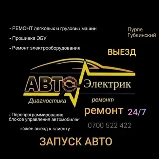 Услуги автоэлектрика, прошивка ЭБУ, выезд
