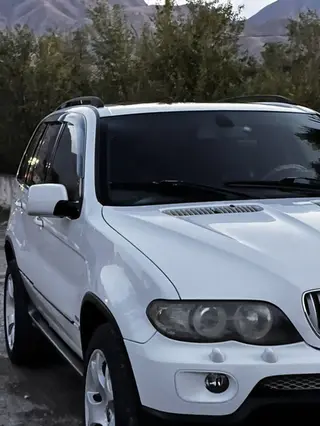 BMW X5: 2004 г., 4.4 л, Автомат, Бензин, Кроссовер