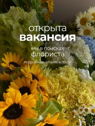 Требуется флорист с опытом работы график с 10:00 до 23:00 2/2 5/2 итд