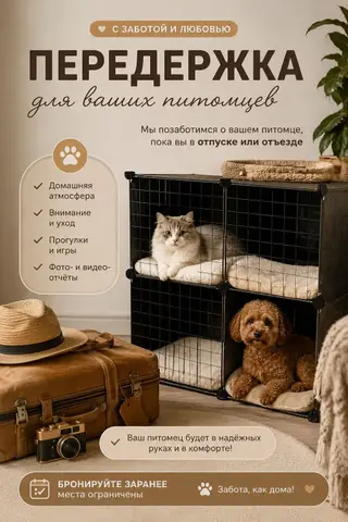 Передержка кошек в уютных условиях
