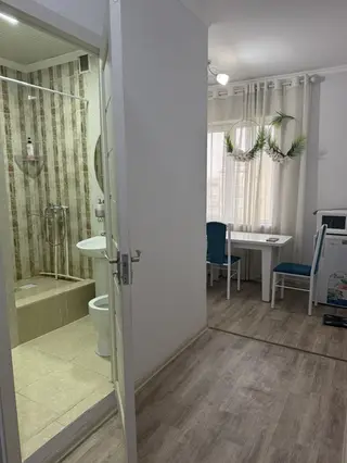 Студия, Без подселения, С мебелью полностью