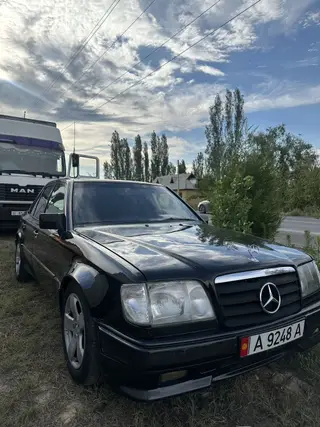 Mercedes-Benz W124: 1995 г., 2.2 л, Автомат, Газ, Седан