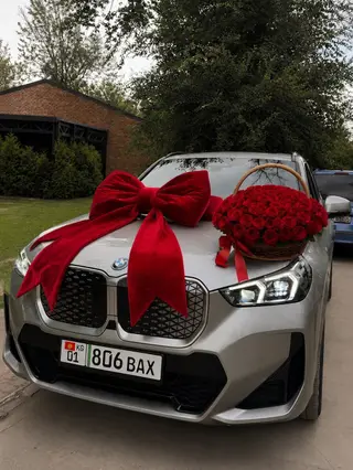 BMW iX1: 2024 г., 3 л, Автомат, Электромобиль, Кроссовер