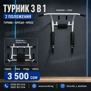 Турник, 3 в 1, Настенный, Новый, Платная доставка