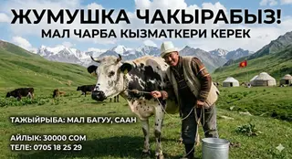 Требуется Скотник, Оплата: Ежемесячно