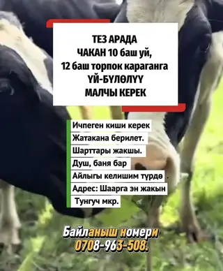Требуется Скотник, Оплата: Сдельная