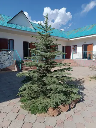 - садовая зона с плодовыми деревьями (абрикосы), скамьи и топчаны для