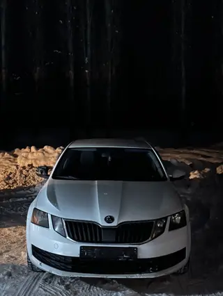 Skoda Octavia: 2018 г., 1.6 л, Автомат, Бензин, Седан