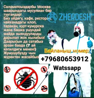 КЛОП ЖАНА ТАРАКАН ДААРЫЛАЙБЫЗ!