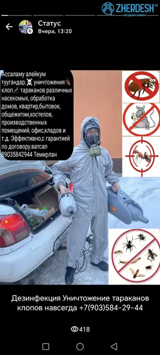 КЛОП ТАРАКАН ДАРЫЛАЙБЫЗ ГАРАНТИЯ 6-АЙ
