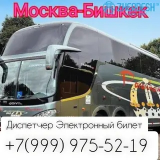 Москва Бишкек автобус спринтер