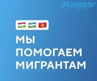 Документ жасайбыз баардык турун