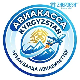 Авиакасса авиабилеттер сапаттуу ишеничтүү касса 100%