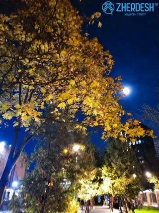 метро Алексеевская