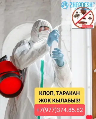 дизинфексий