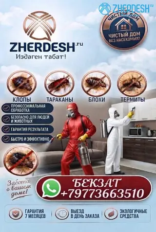 Дезинфекция